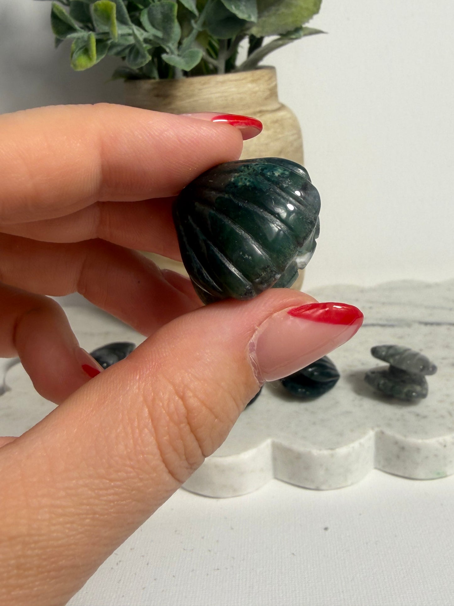Moss Agate Shell Mini
