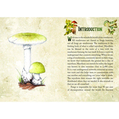 Mushroom Spirit Oracle Cards by WONDER IMPORTS AUSTRALIA