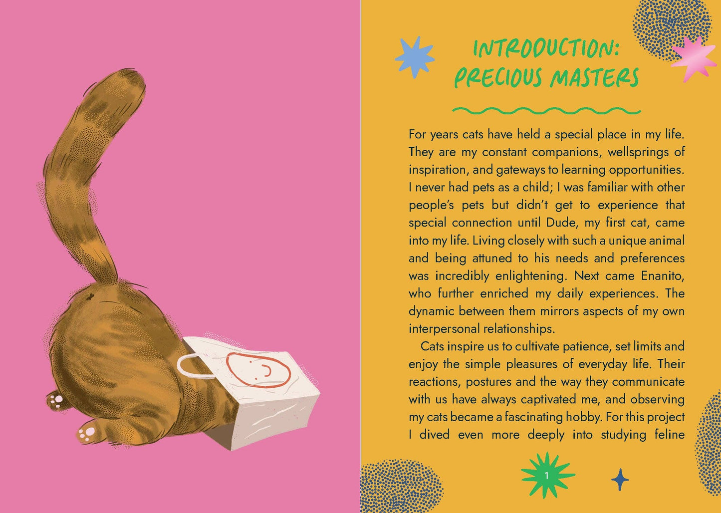 Cat Wisdom Oracle