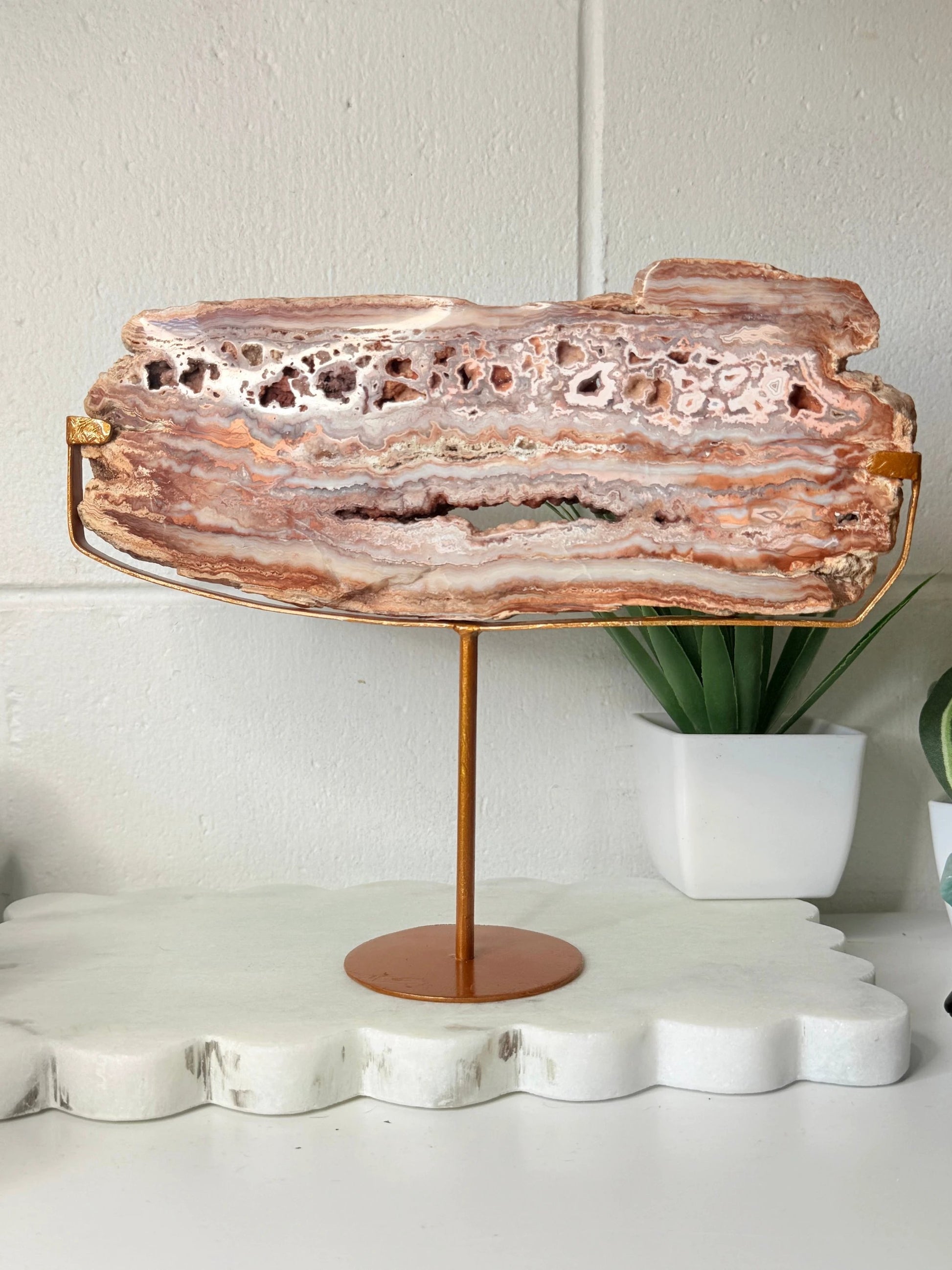 Crazy Lace Agate Slab on Stand - 23cm by Heartstone Sanctuary