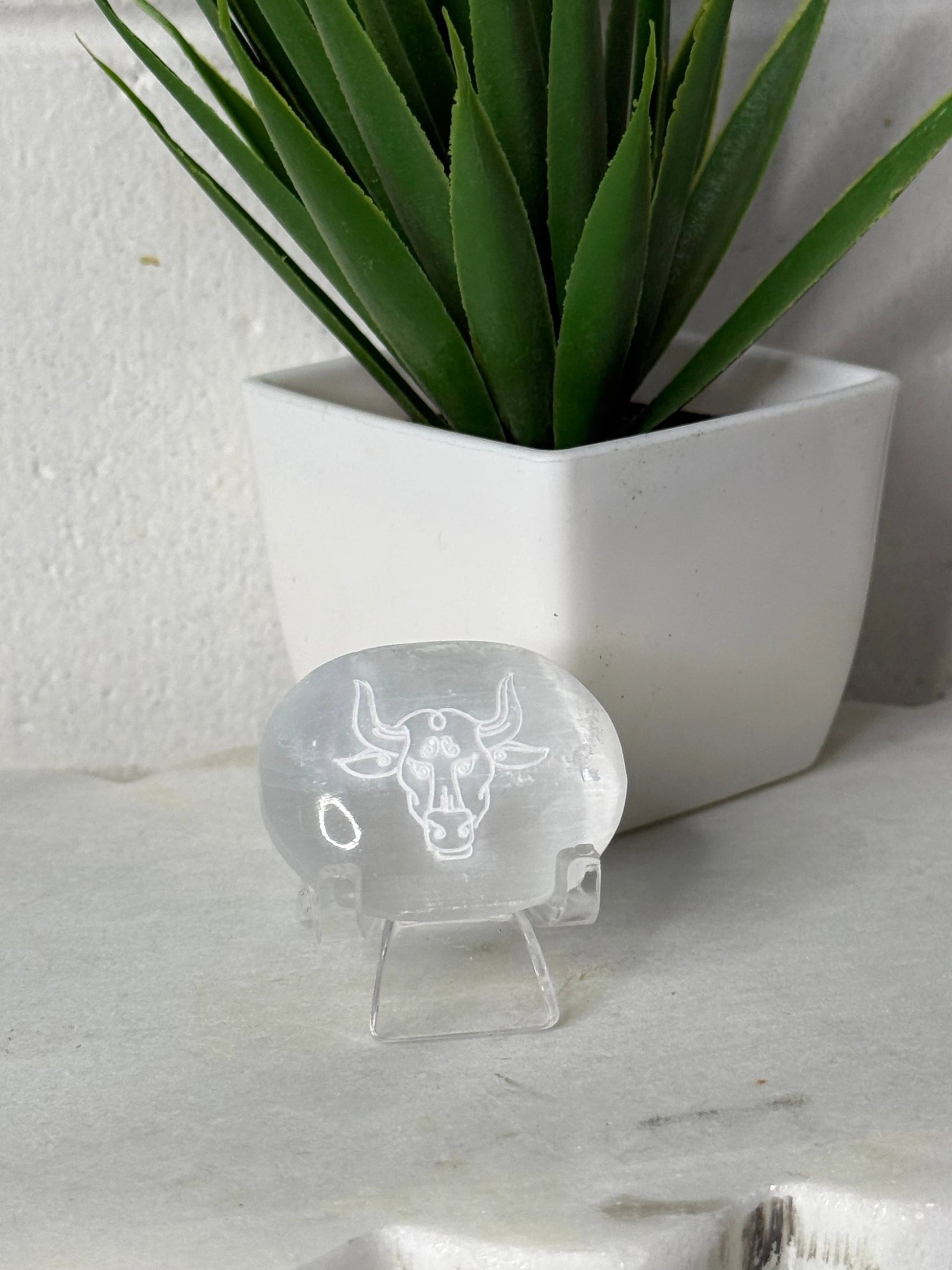 Zodiac Etched Selenite Small Palm by Heartstone Sanctuary