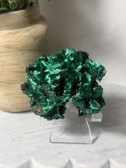 Malachite Freeform Velvet