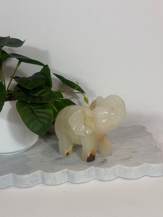 African Jade Elephant