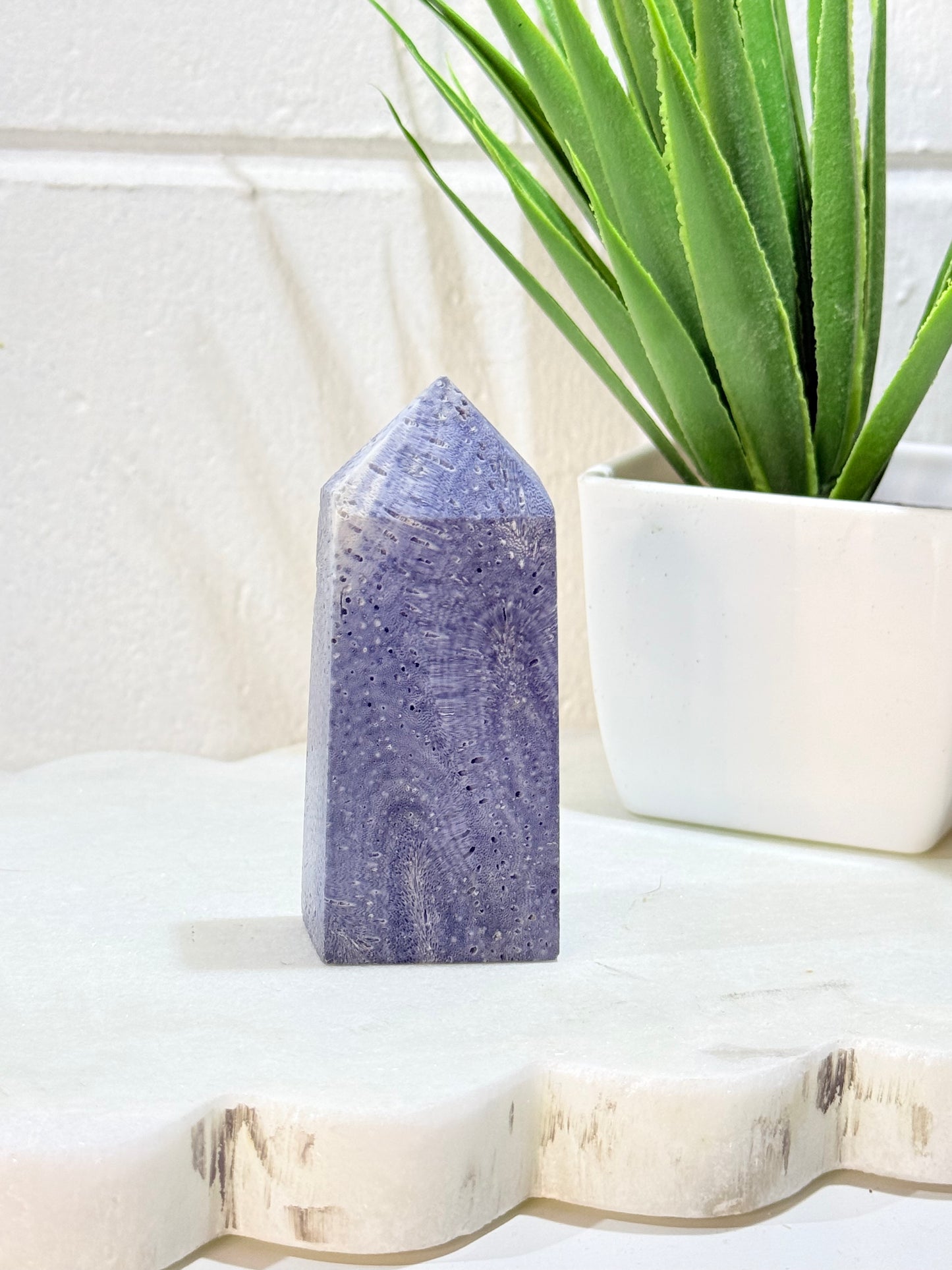 Blue Coral Tower - You choose by Heartstone Sanctuary
