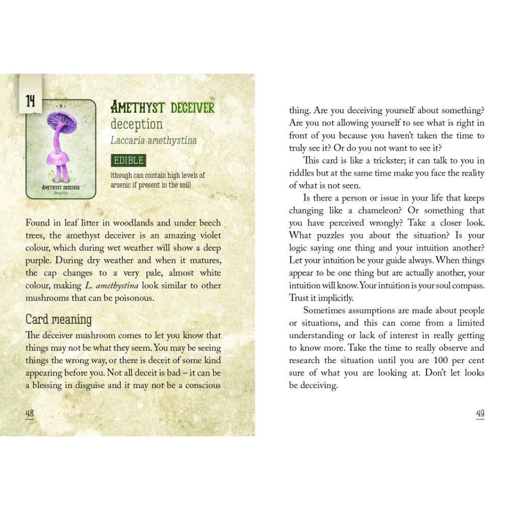 Mushroom Spirit Oracle Cards by WONDER IMPORTS AUSTRALIA