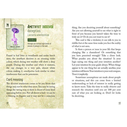 Mushroom Spirit Oracle Cards by WONDER IMPORTS AUSTRALIA