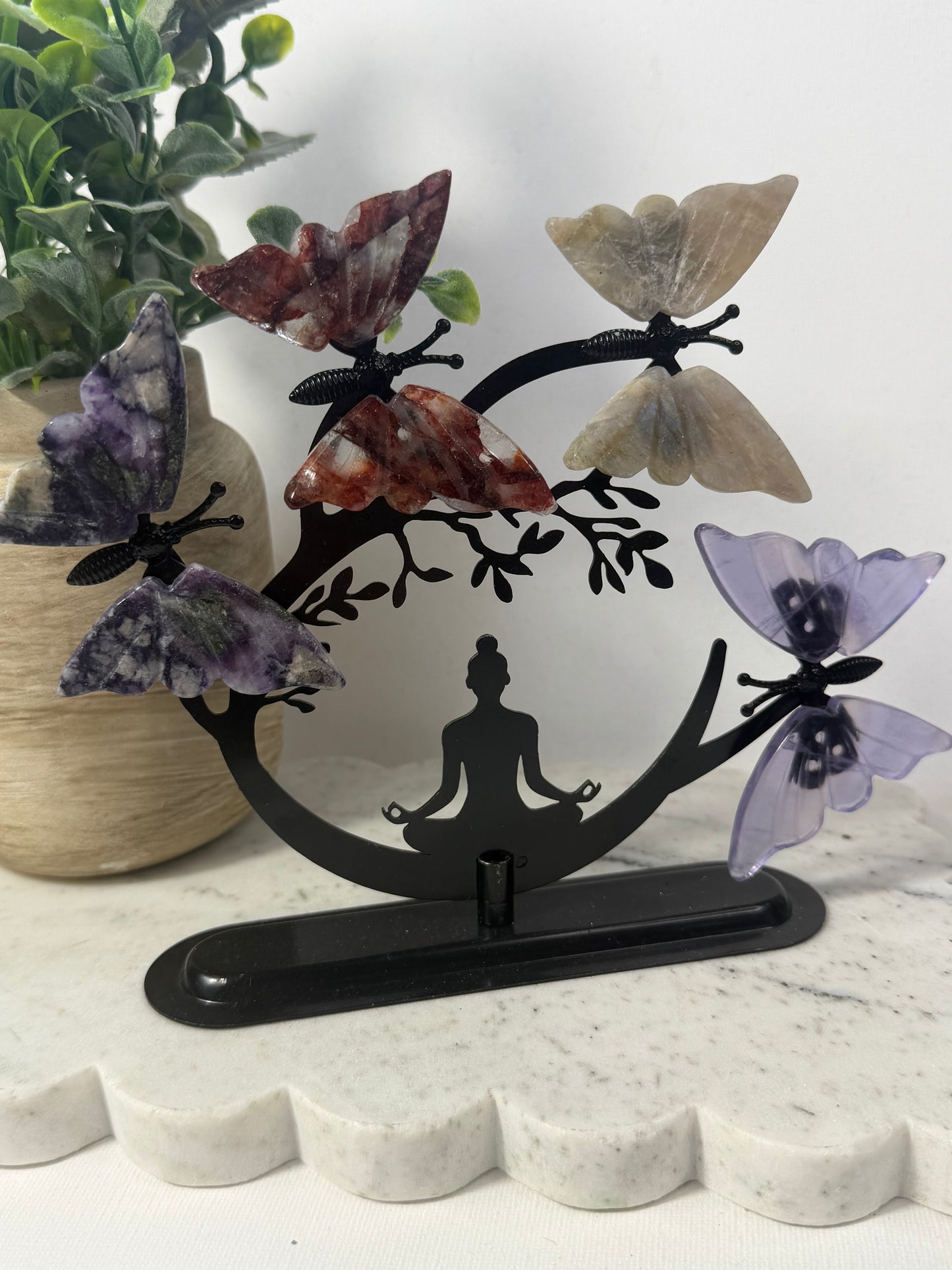 Butterfly 🦋