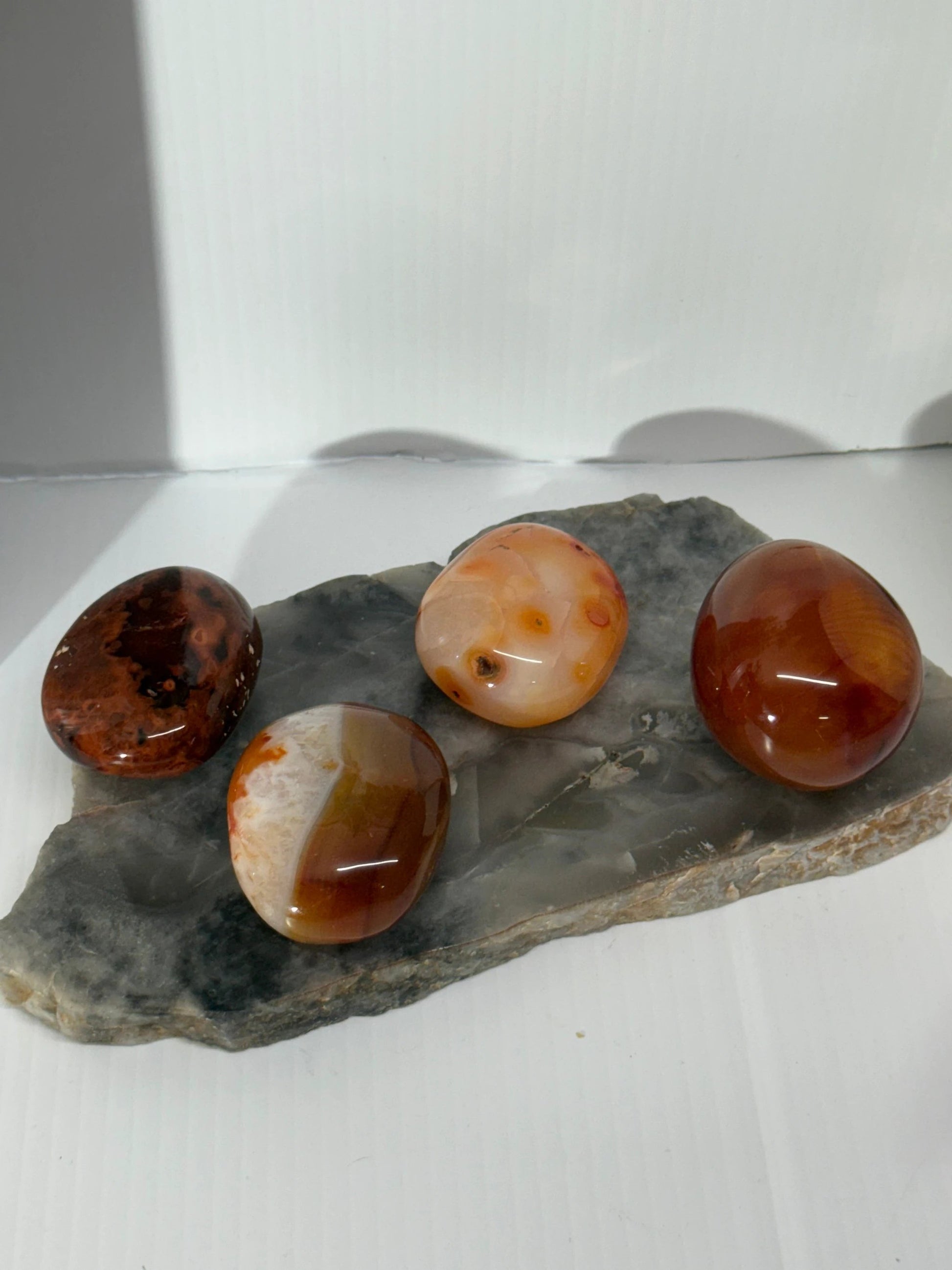 Carnelian Palm by Heartstone Sanctuary