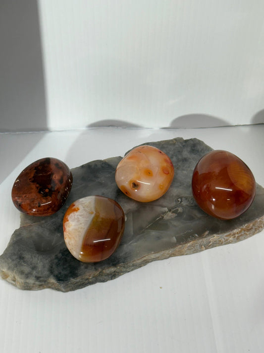 Carnelian Palm by Heartstone Sanctuary
