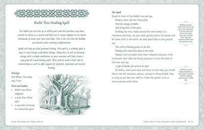 Book of Tree Spells by ROCKPOOL PUBLISHING