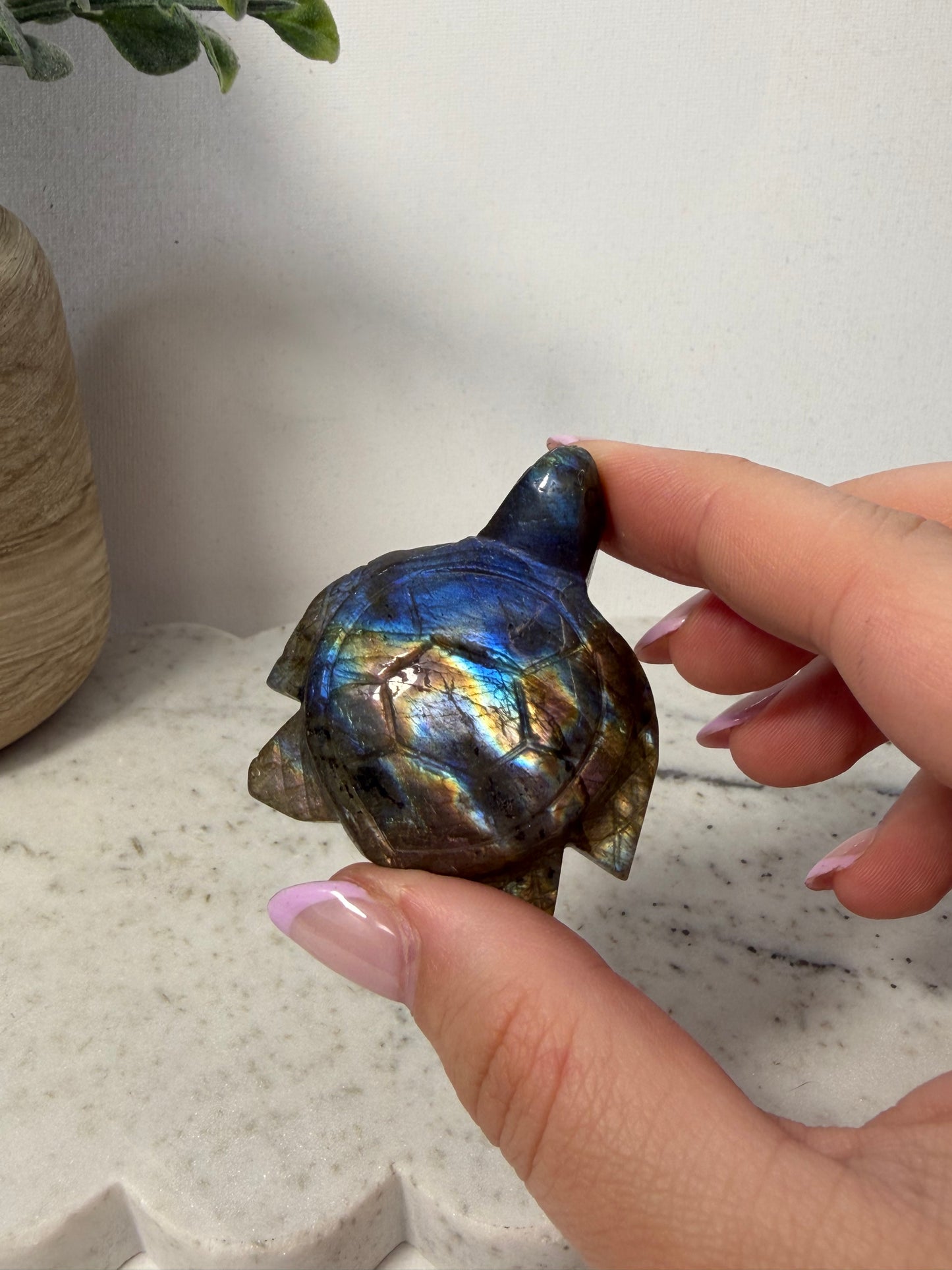 Turtle Carvings