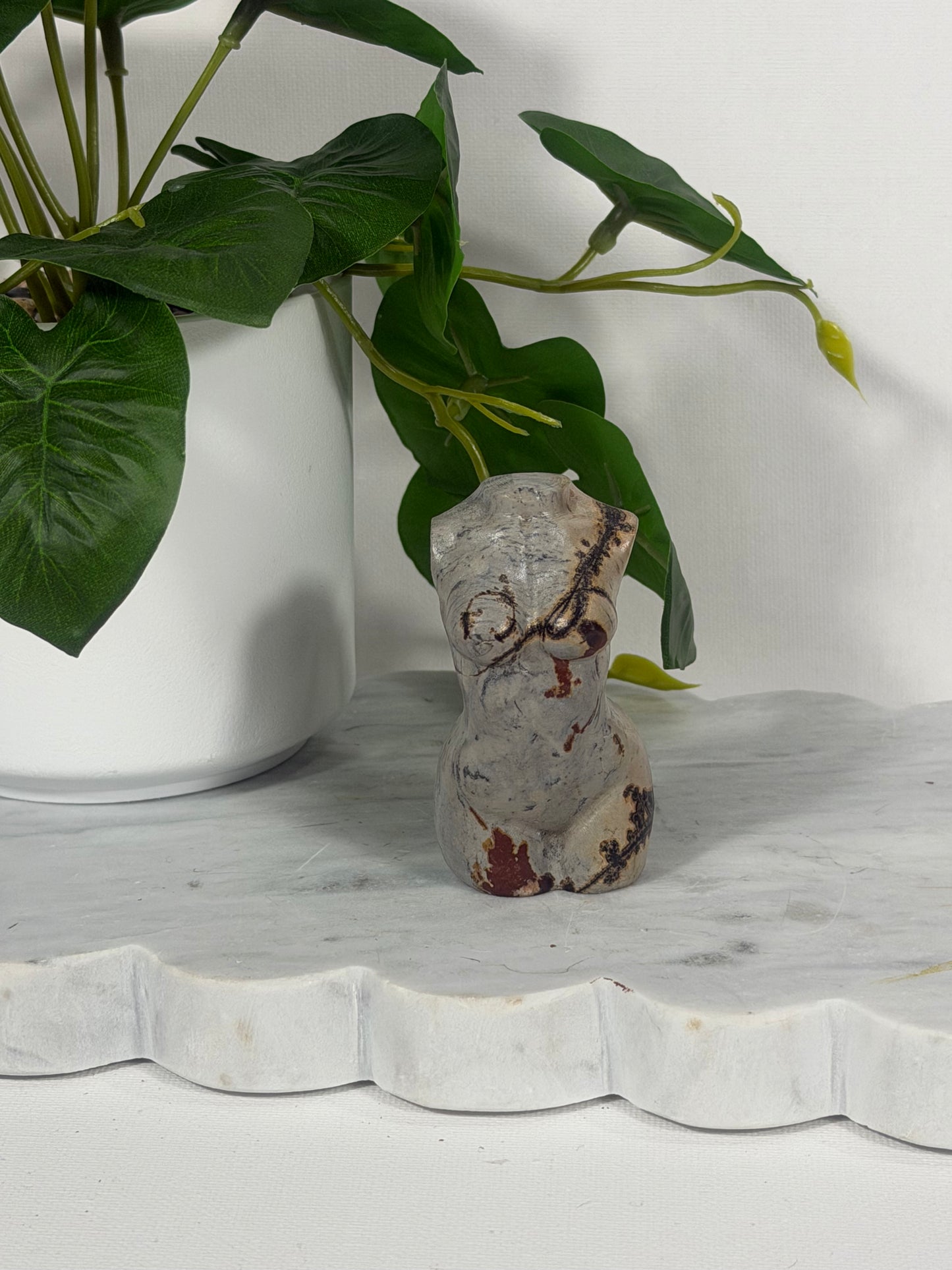 Picture Jasper Body