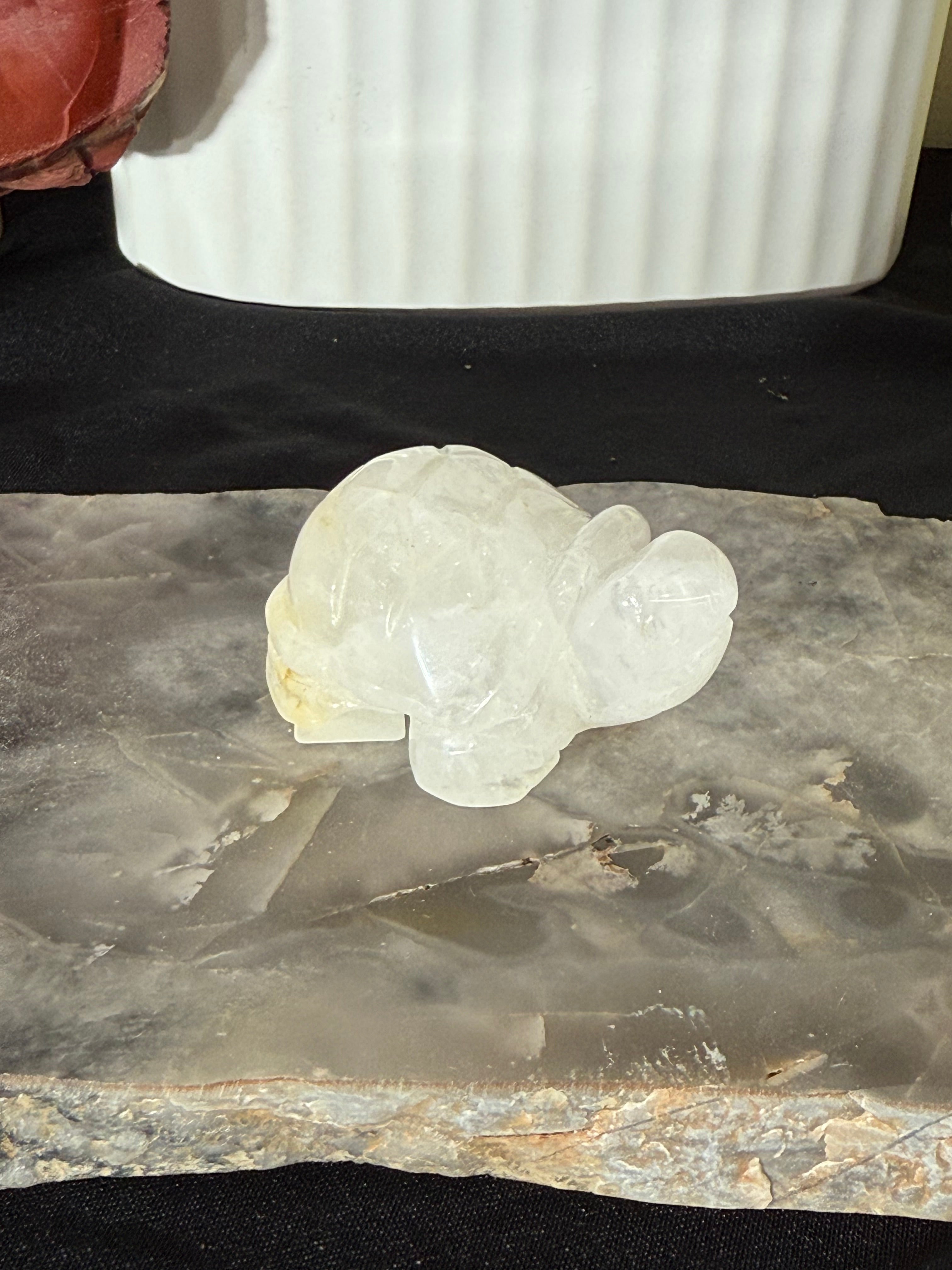 Tortoise Multiple Materials