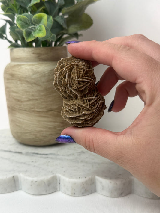 Desert Rose