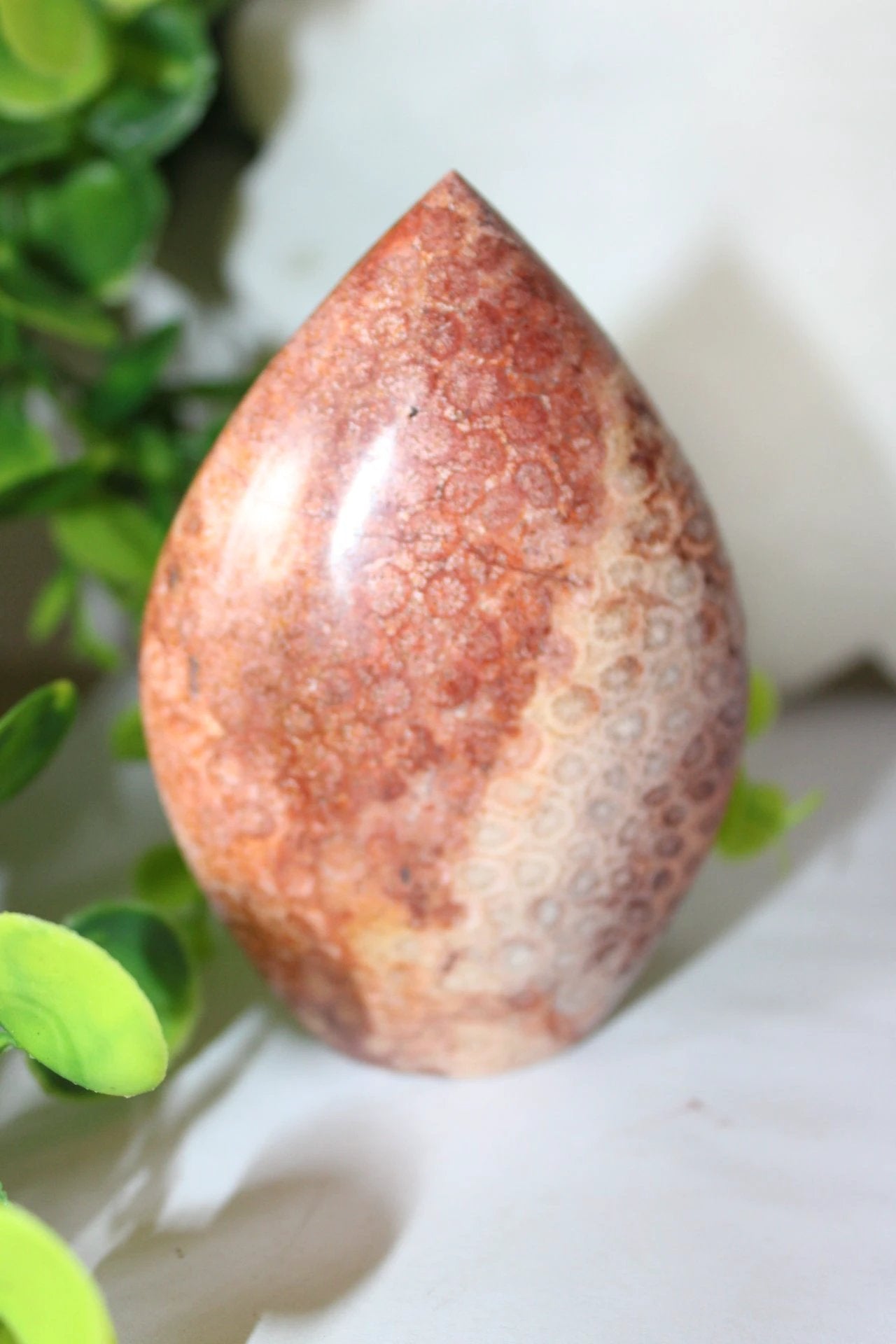 Red Coral Fossil Teardrop by Heartstone Sanctuary