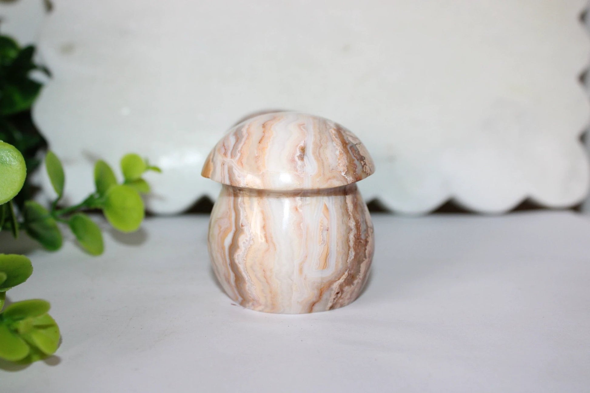 Crazy Lace Mushroom by Heartstone Sanctuary