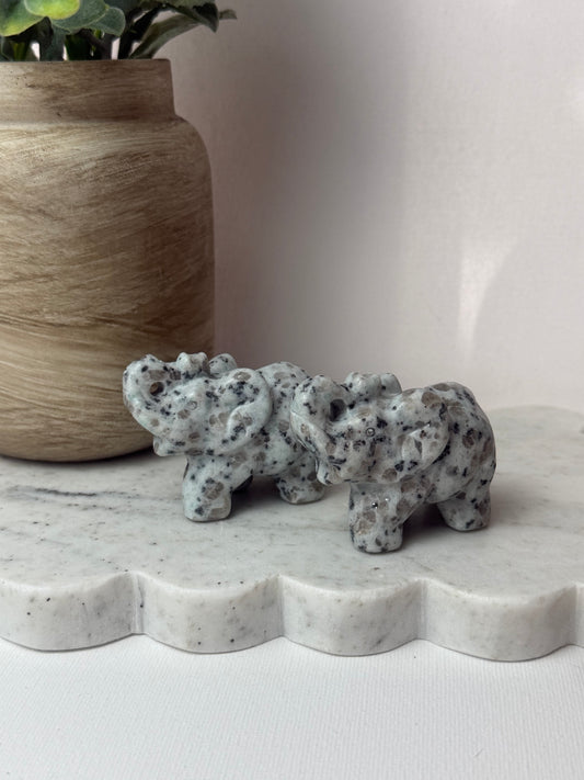 Kiwi Jasper Elephants