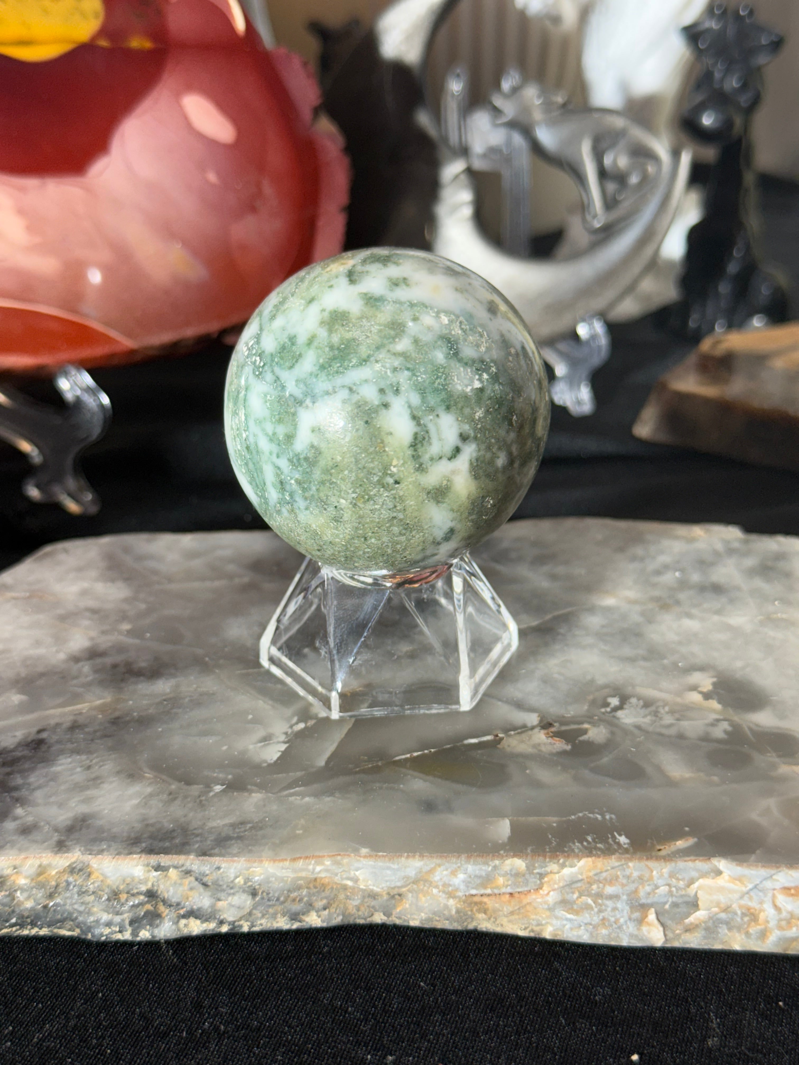 Tree Agate - 43B