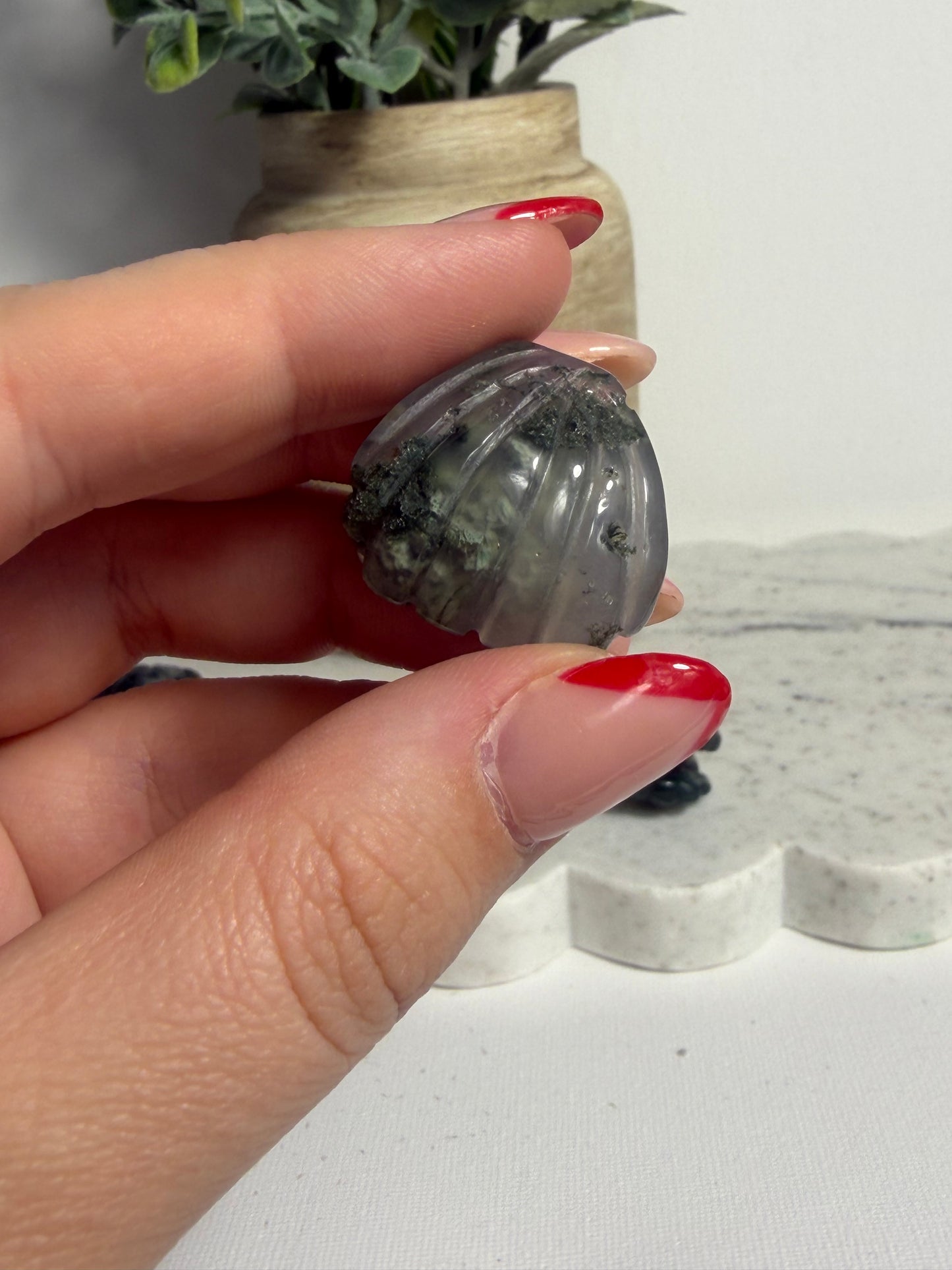 Moss Agate Shell Mini