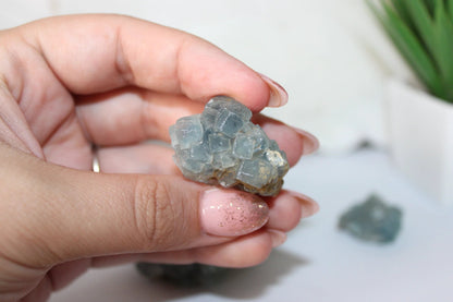 Blue Cubic Fluorite Specimen | Clarity & Focus Crystal - intuitive pick by Heartstone Sanctuary