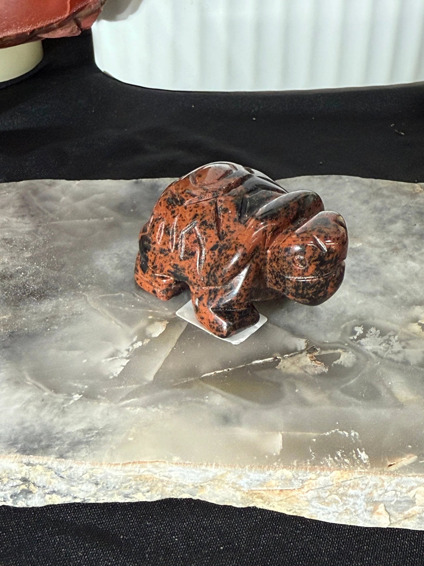 Tortoise Multiple Materials by Heartstone Sanctuary