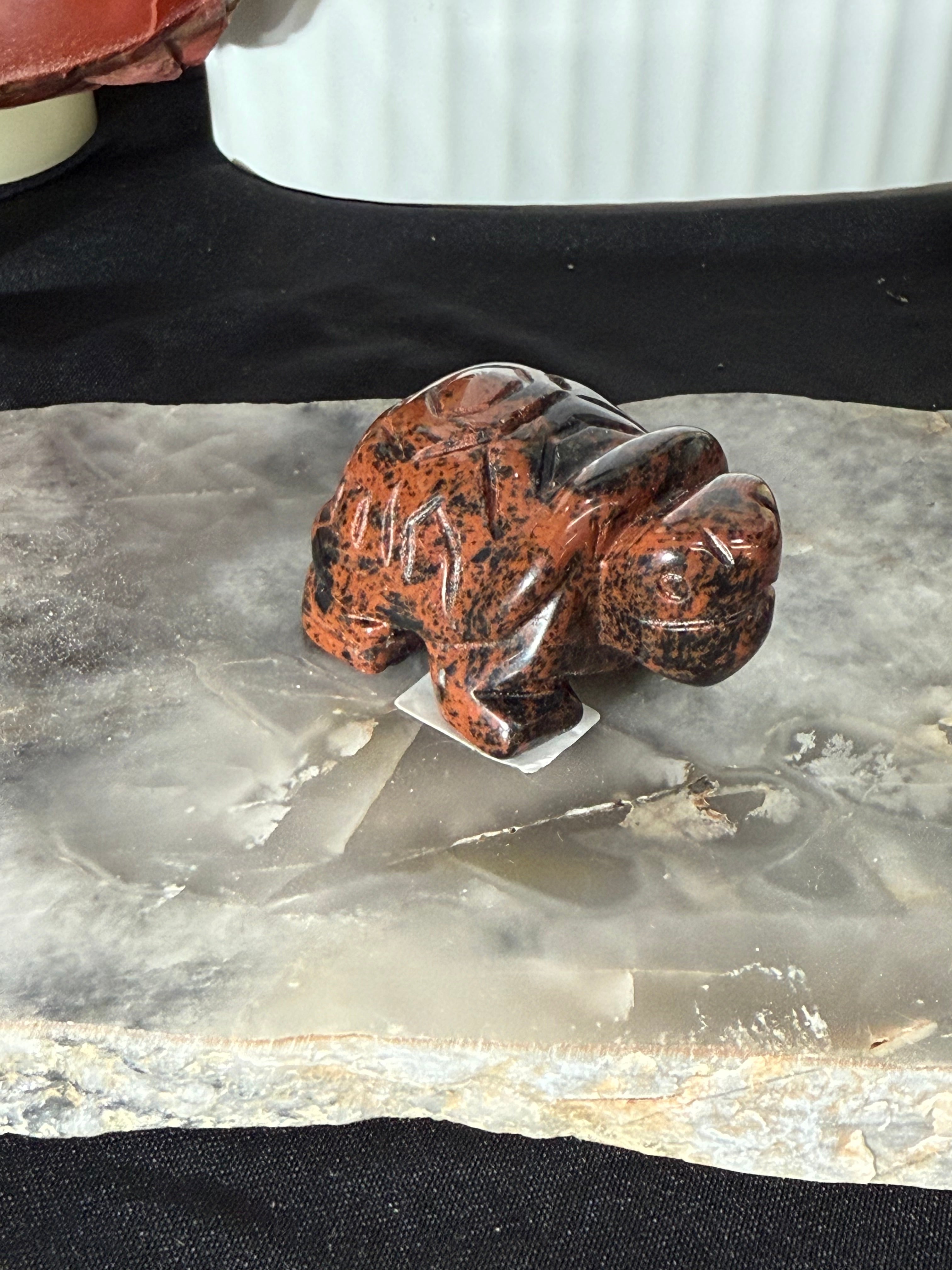 Tortoise Multiple Materials