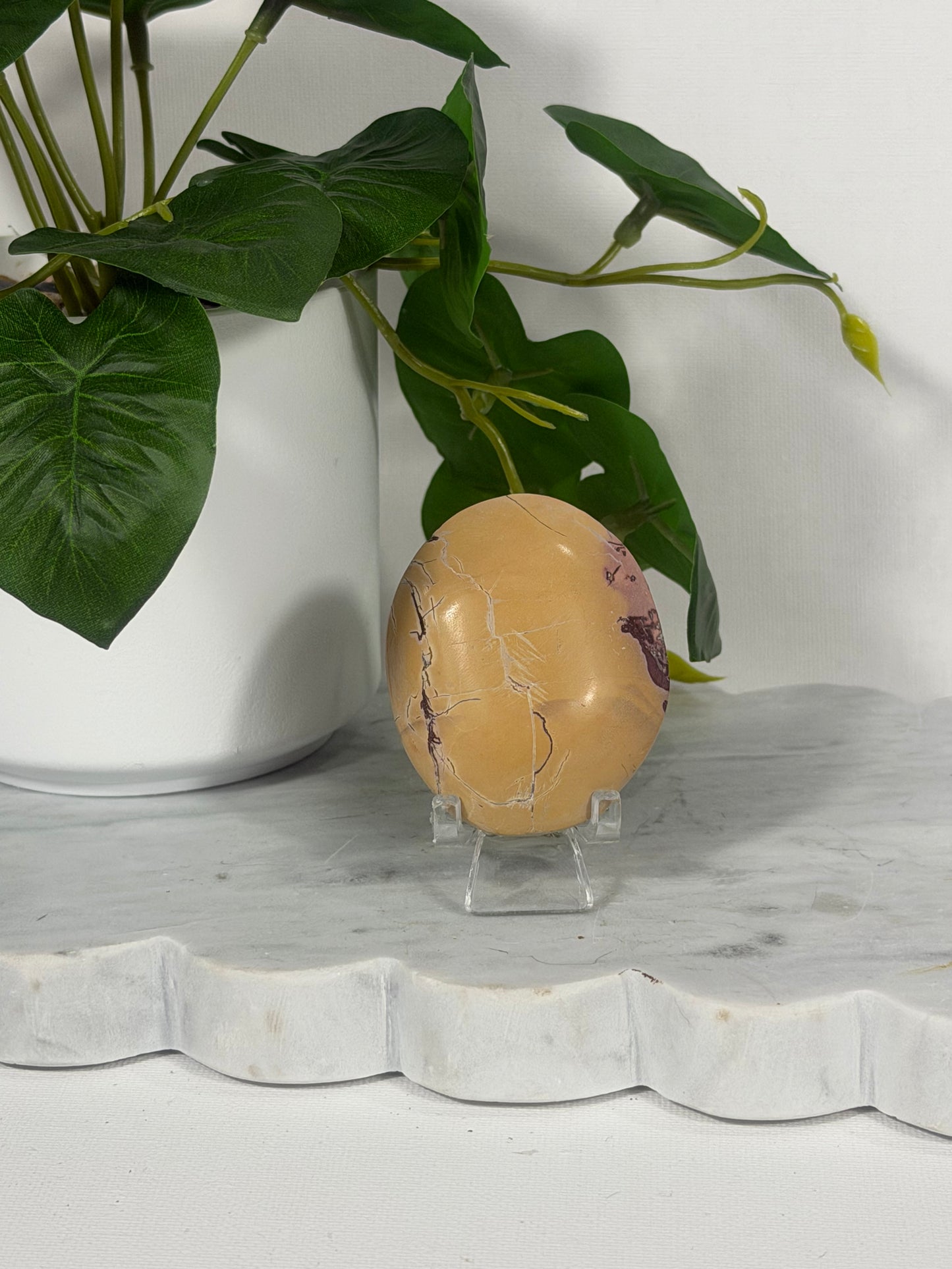 Picture Jasper Palm