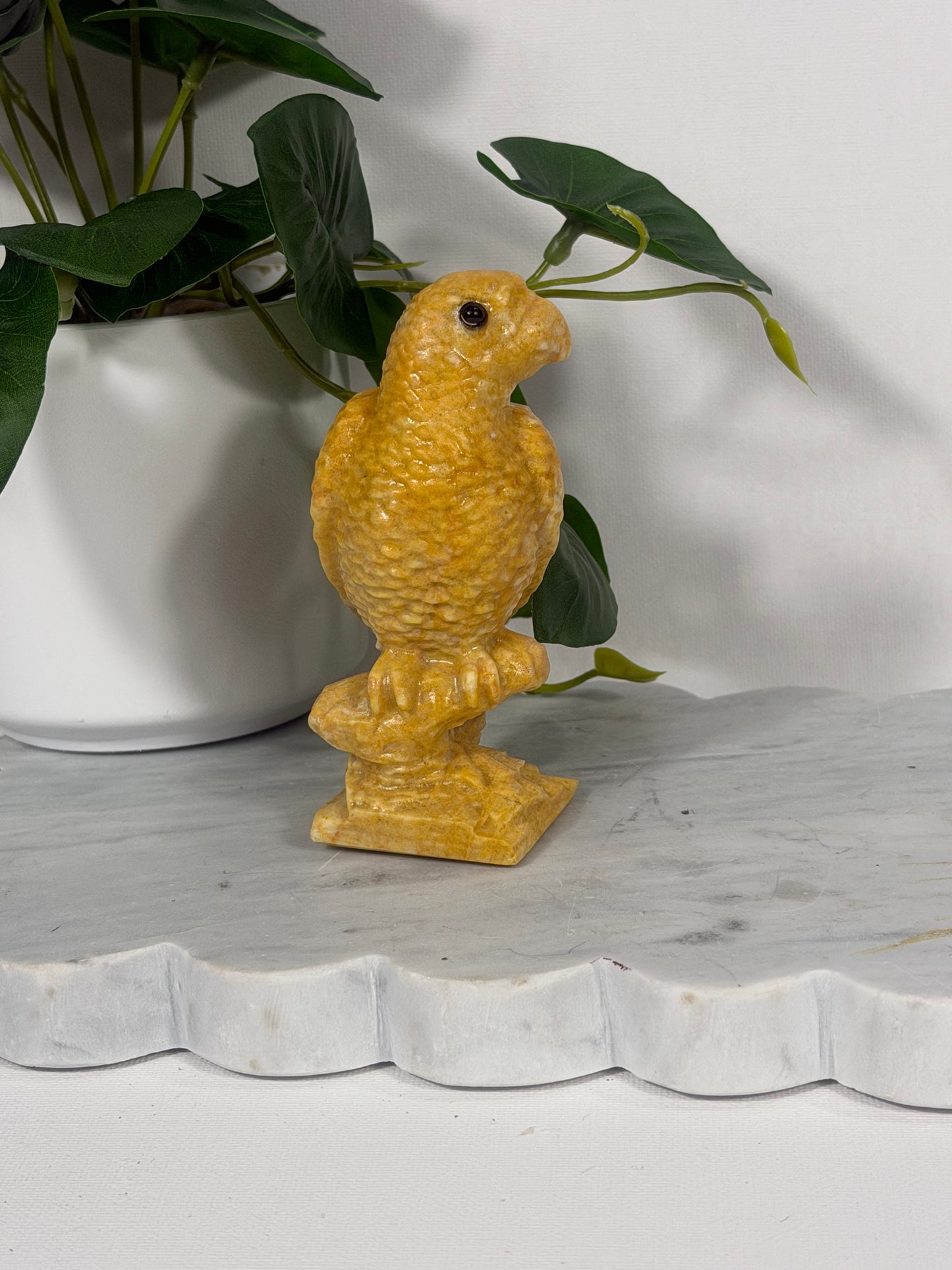 Yellow Jade Parrot