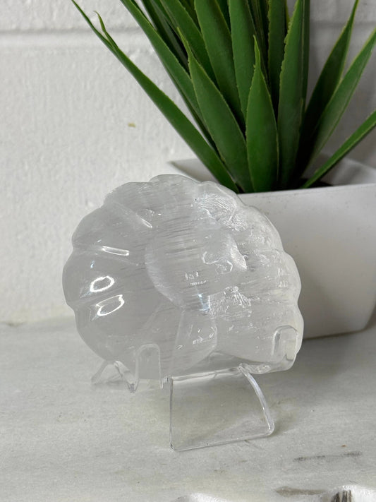 Selenite Ammonite Sphere Stand by Heartstone Sanctuary