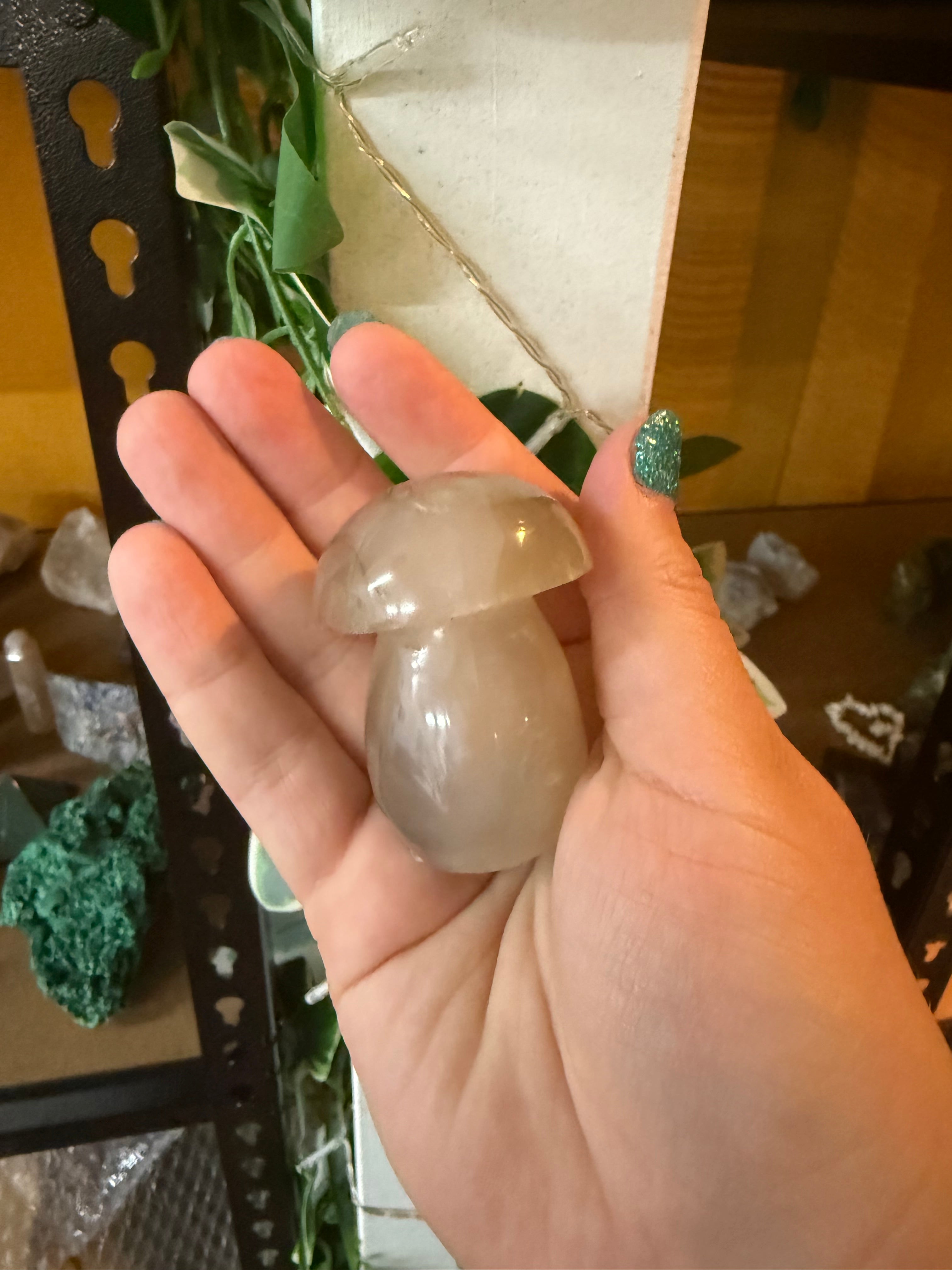 Agate Mushroom