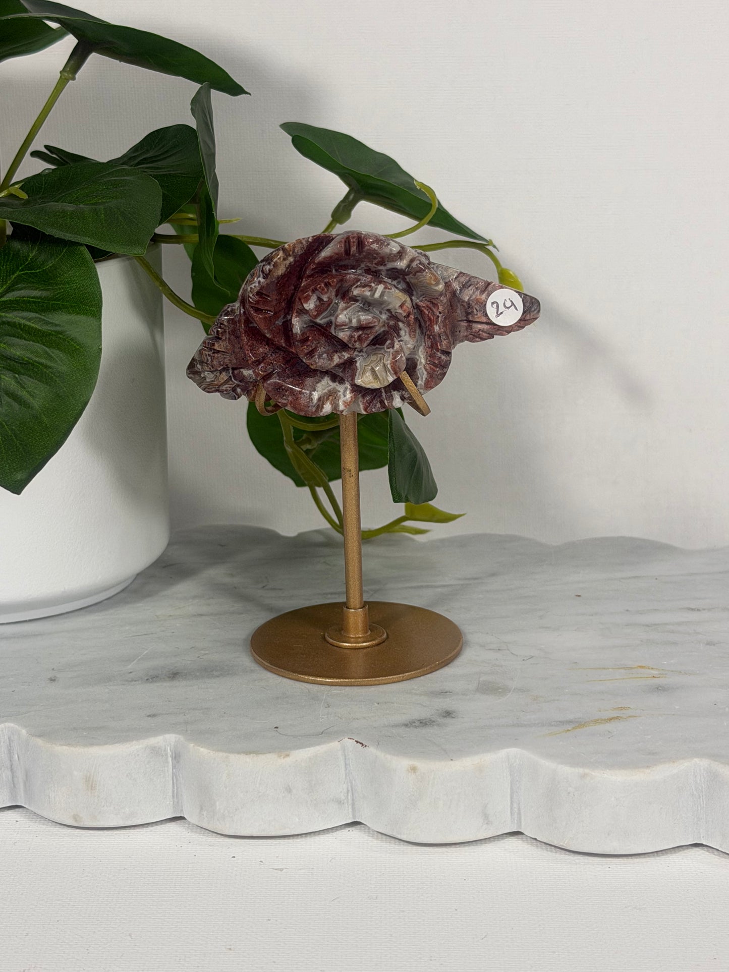 Mexican Lace Flower on Stand