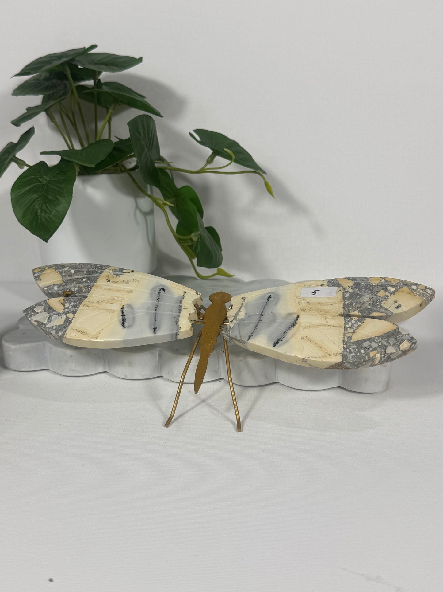 Maligano Jasper Dragonfly
