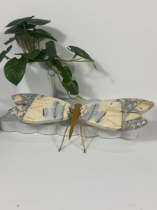 Maligano Jasper Dragonfly