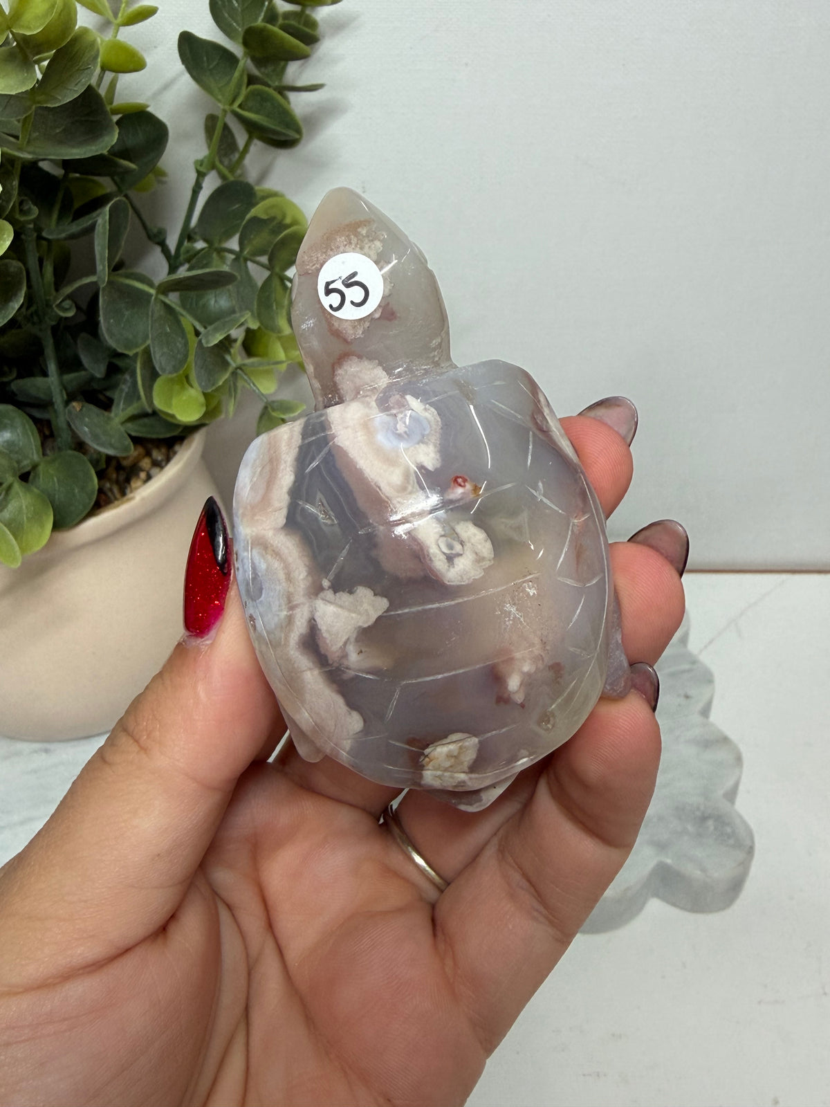 Flower Agate Turtle
