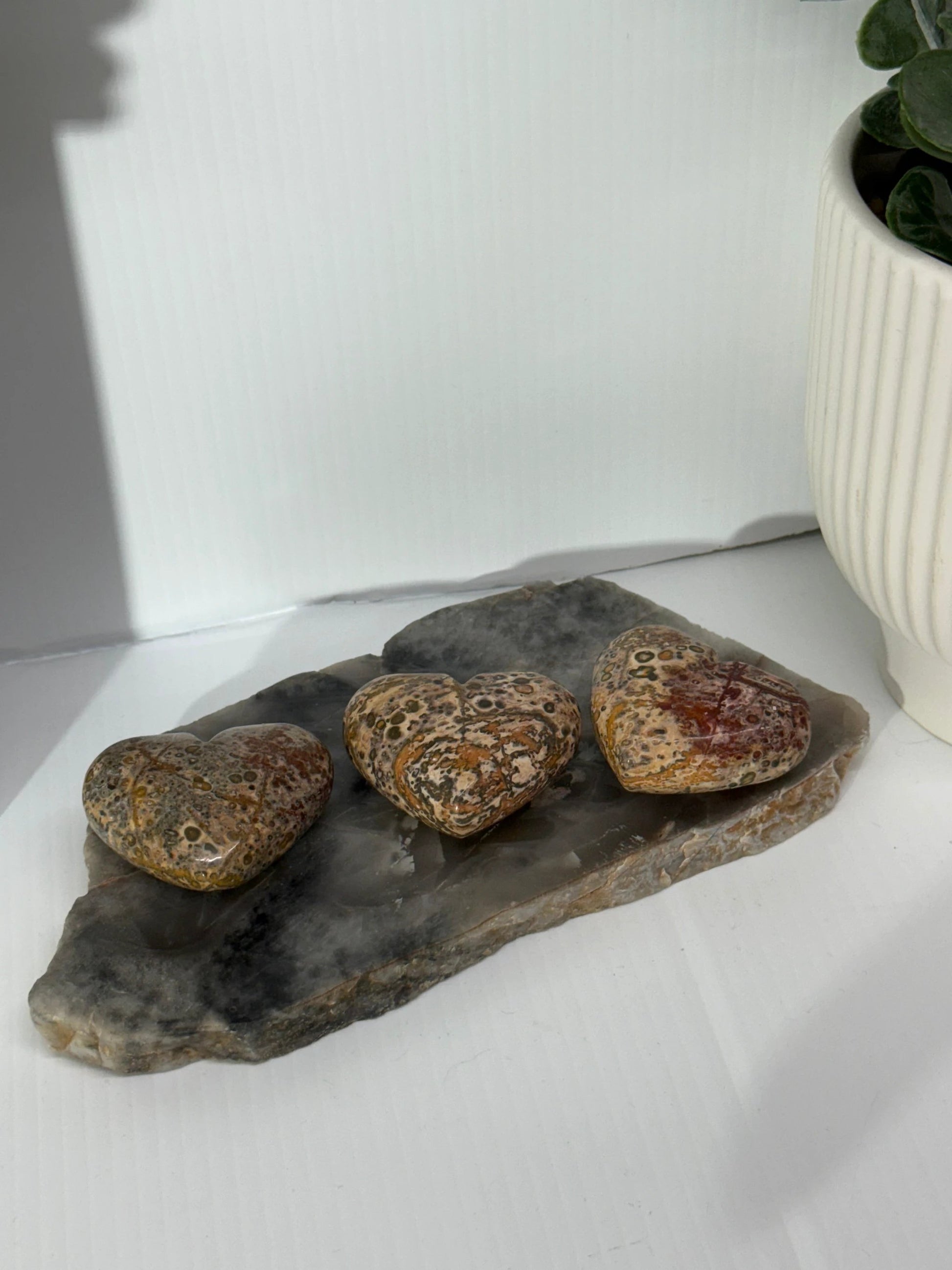 Zebra Jasper Hearts by Heartstone Sanctuary