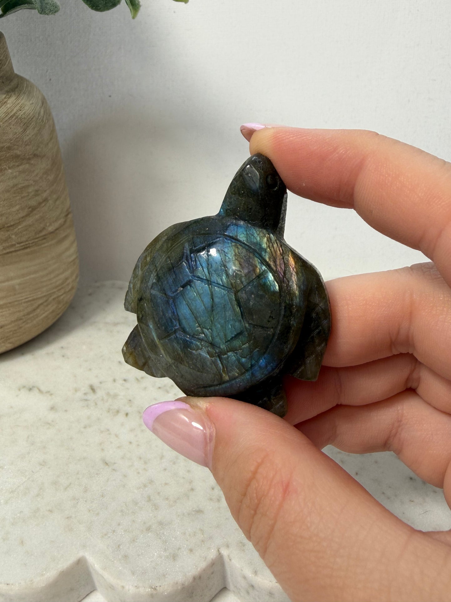 Turtle Carvings