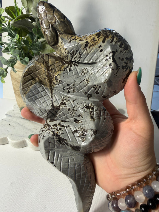 Picture Jasper Snake