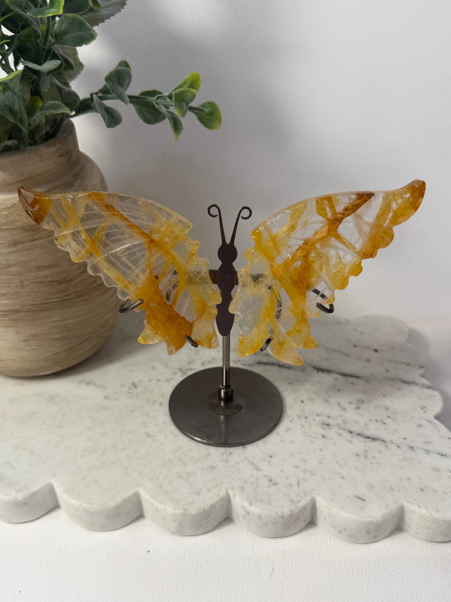 Golden healer wings