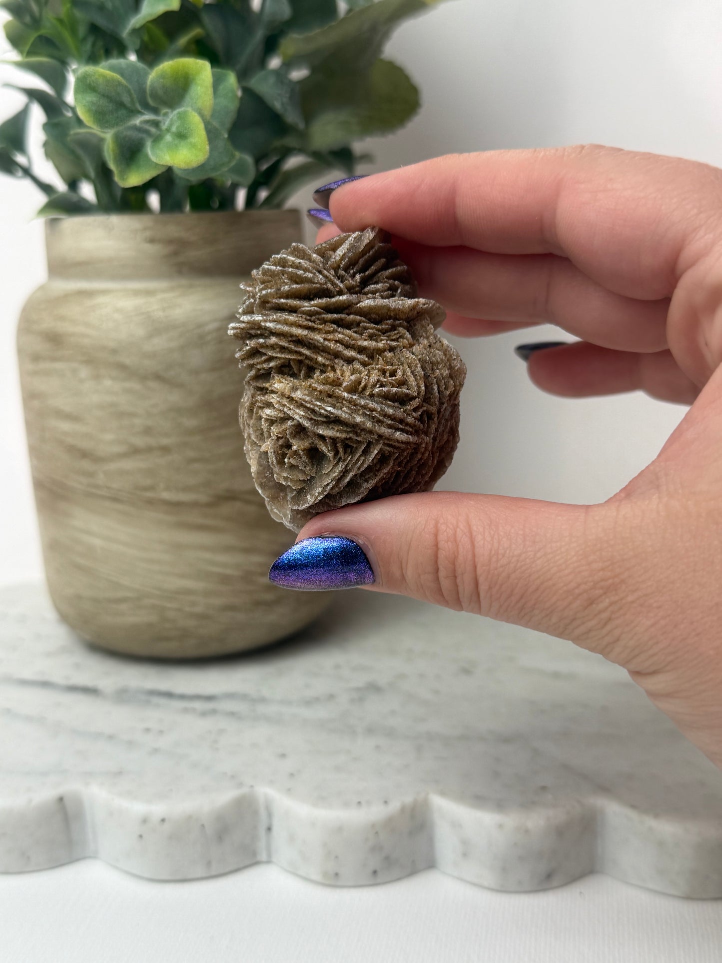 Desert Rose