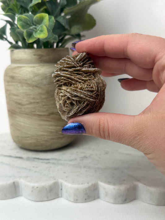 Desert Rose