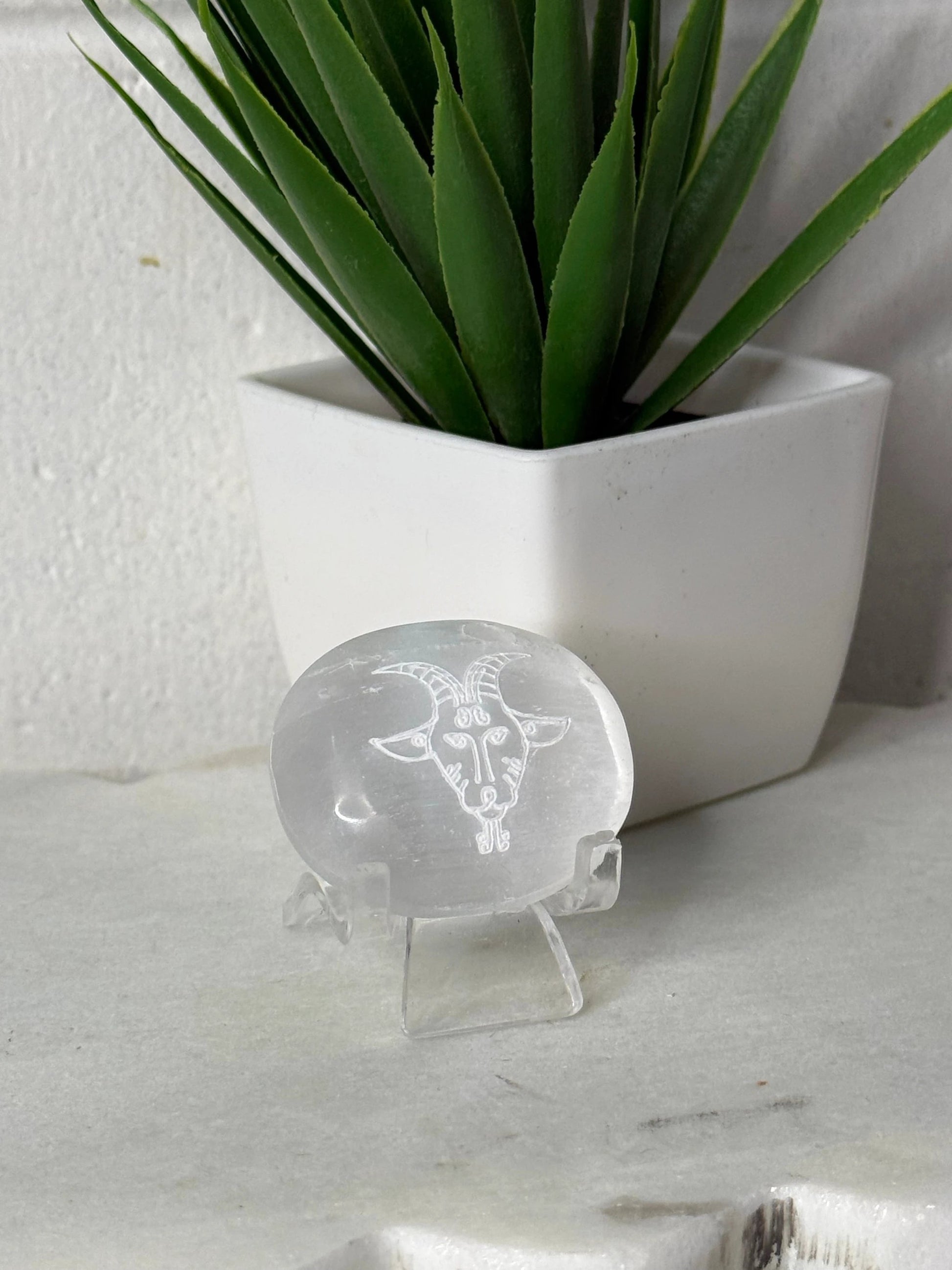 Zodiac Etched Selenite Small Palm by Heartstone Sanctuary