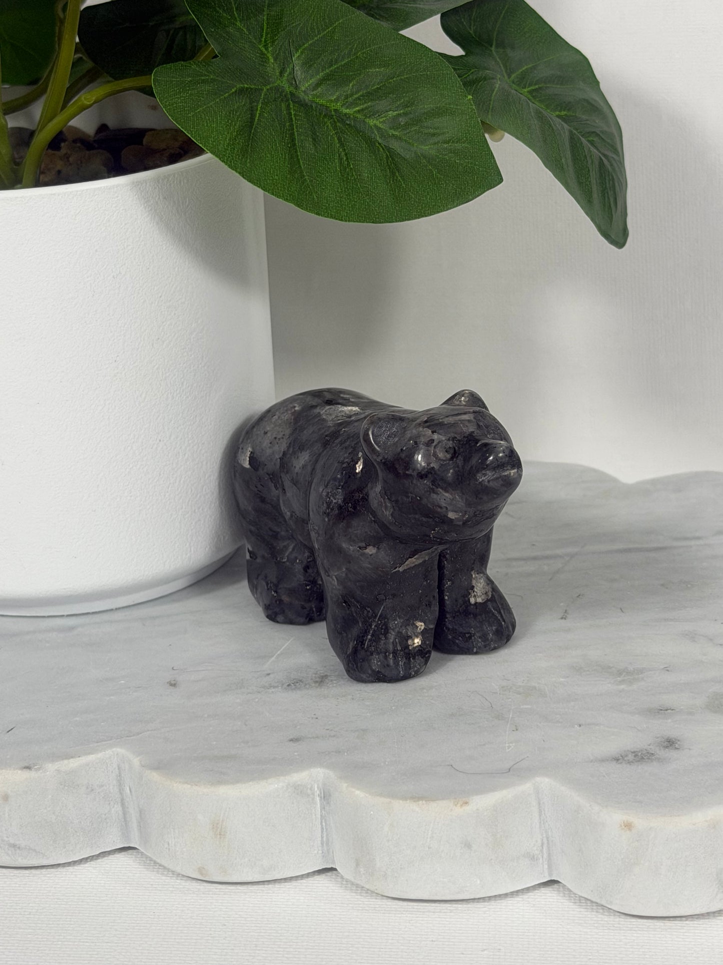 Bears