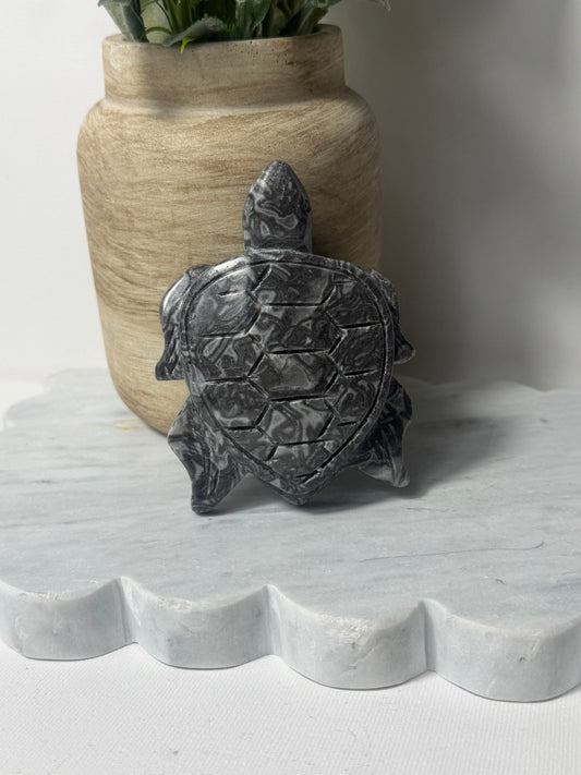Zebra Jasper Turtle