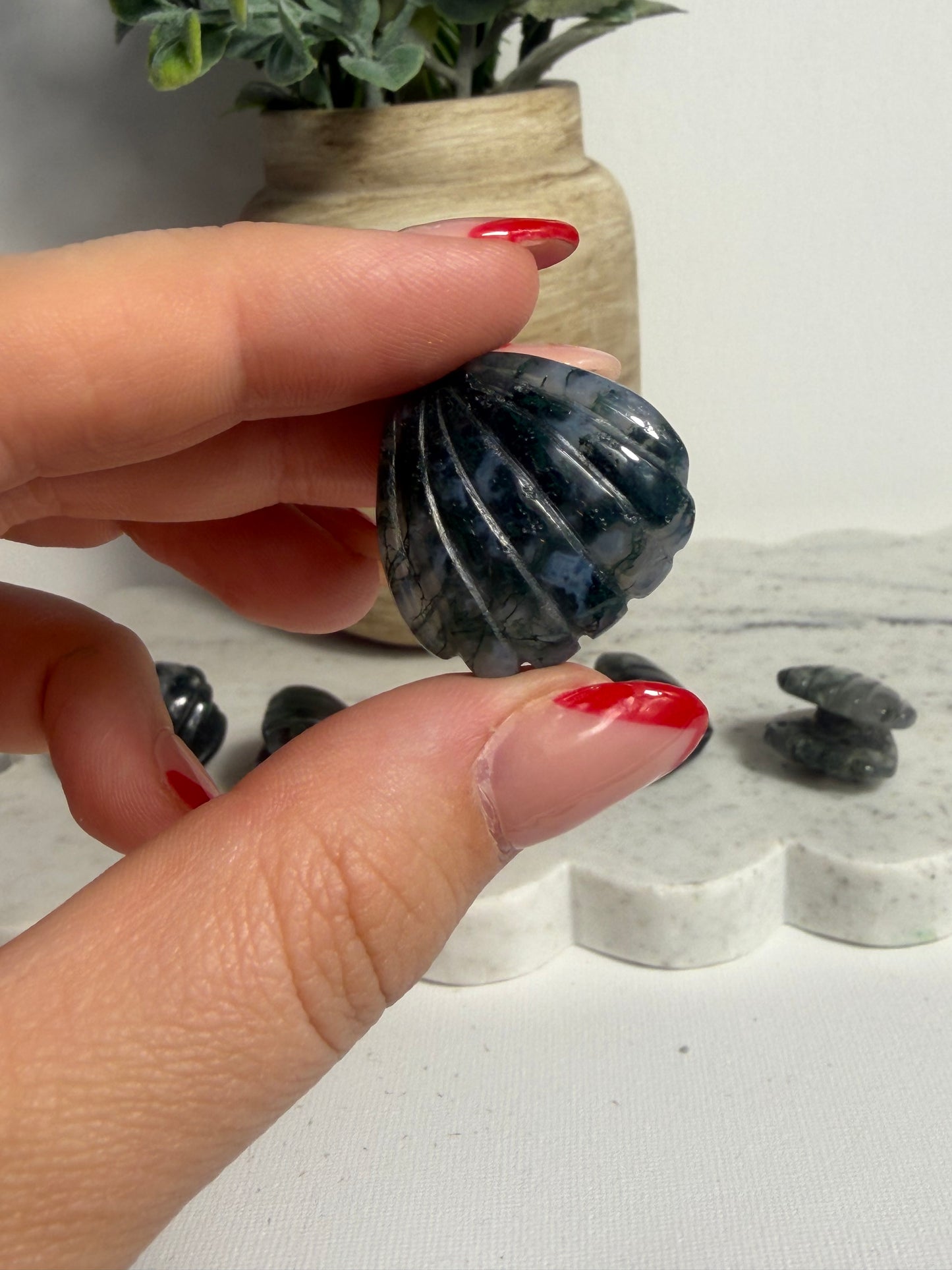 Moss Agate Shell Mini