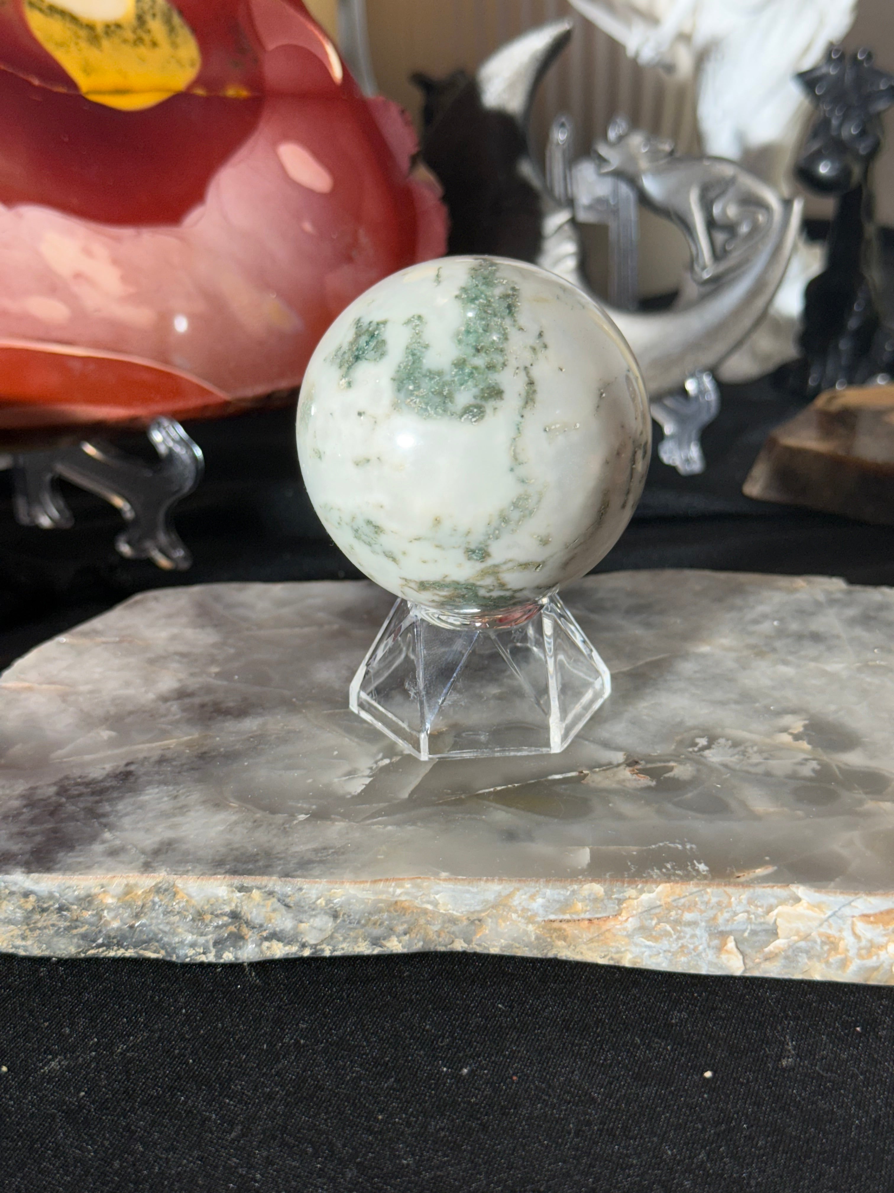 Tree Agate - 43A