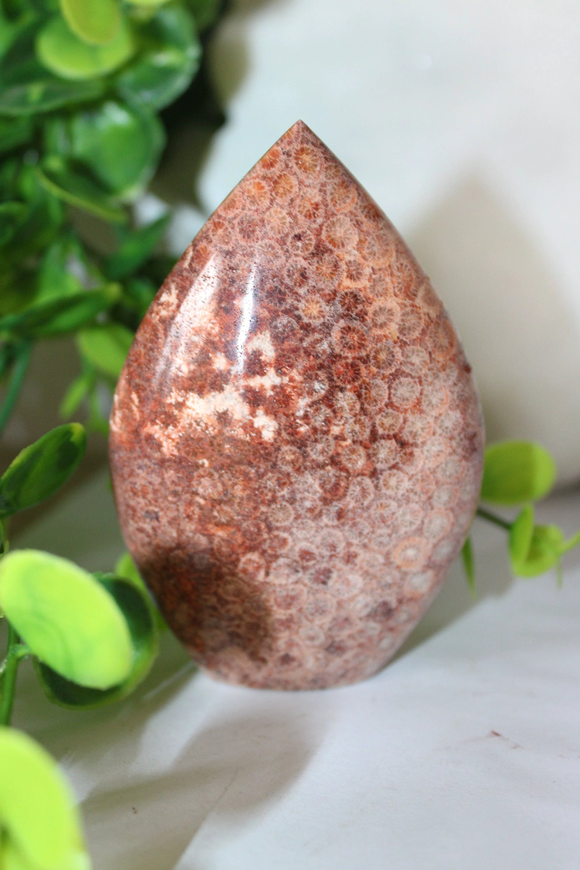 Red Coral Fossil Teardrop by Heartstone Sanctuary
