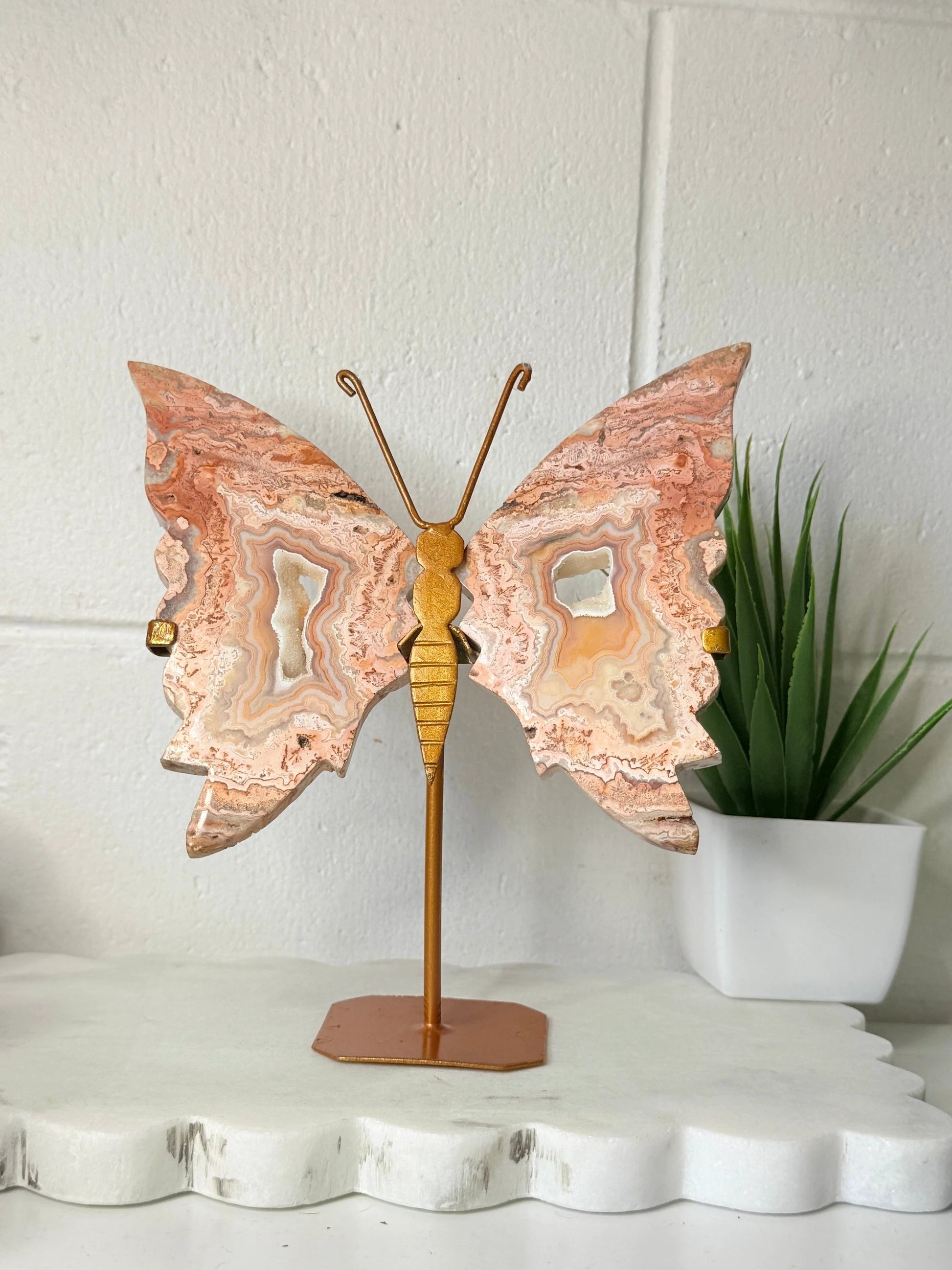 Crazy Lace Butterfly Wings - large by Heartstone Sanctuary