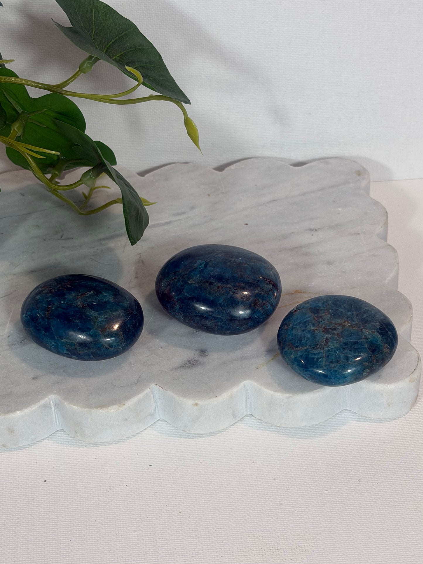 Blue Apatite Palm Each