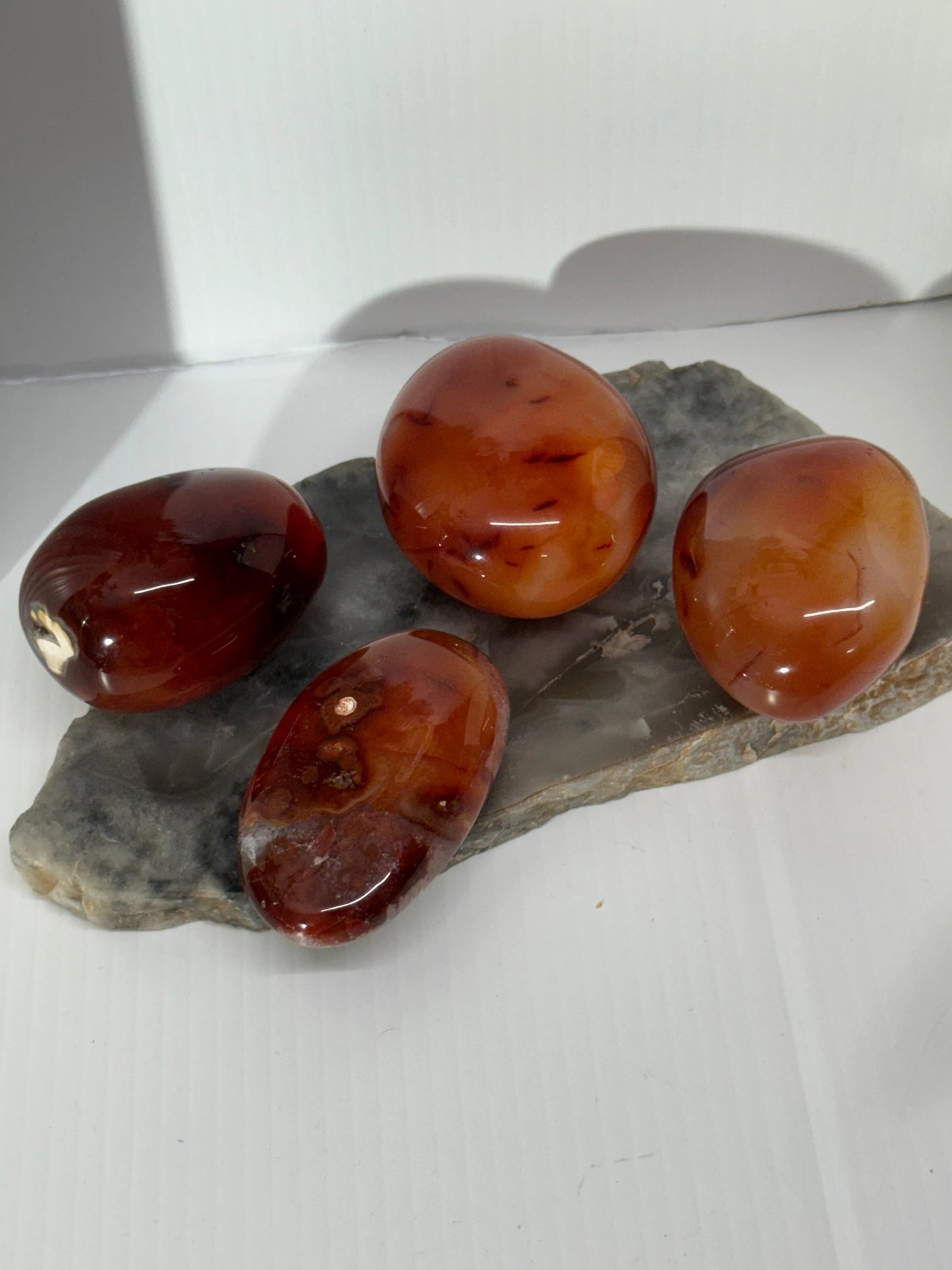 Carnelian Palm by Heartstone Sanctuary