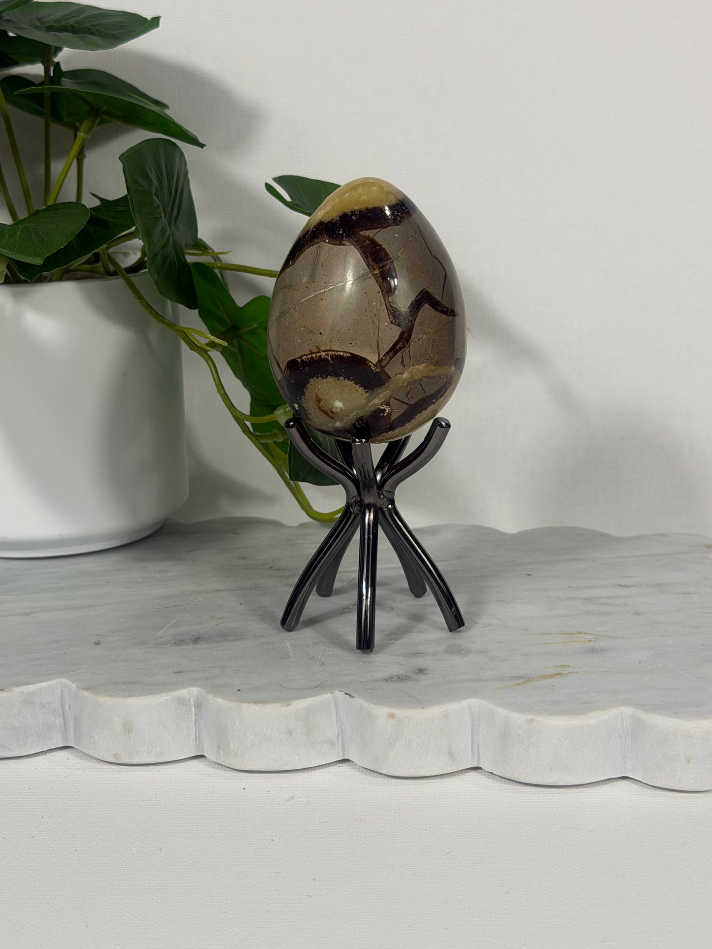 Septarian Egg